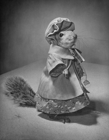 Illustration for article titled This squirrel was a 1940s fashion plate